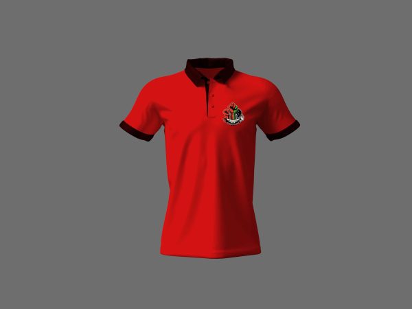 NBAC Unity Polo - Image 3